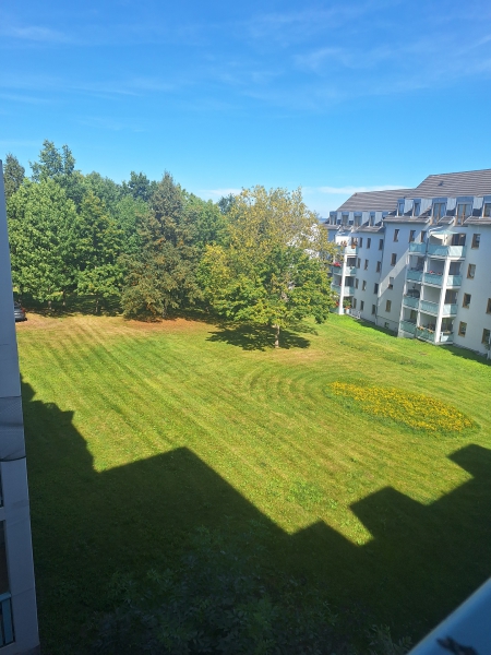 Ausblick vom Balkon